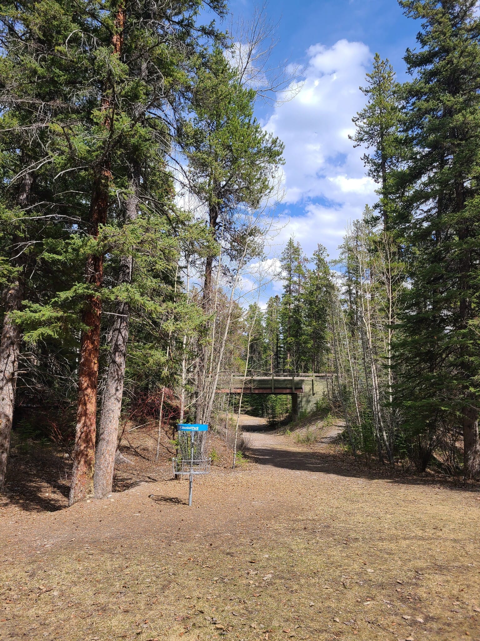 disc-golf Trail Sports - Disc Golf