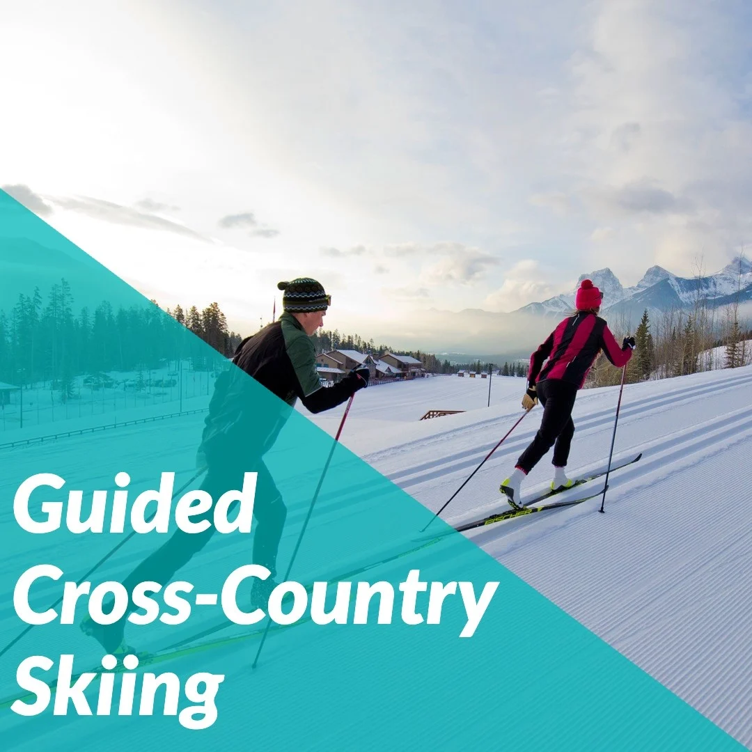 guided-cross-country-skiing Trail Sports - Cross-Country Ski Lessons & Tours